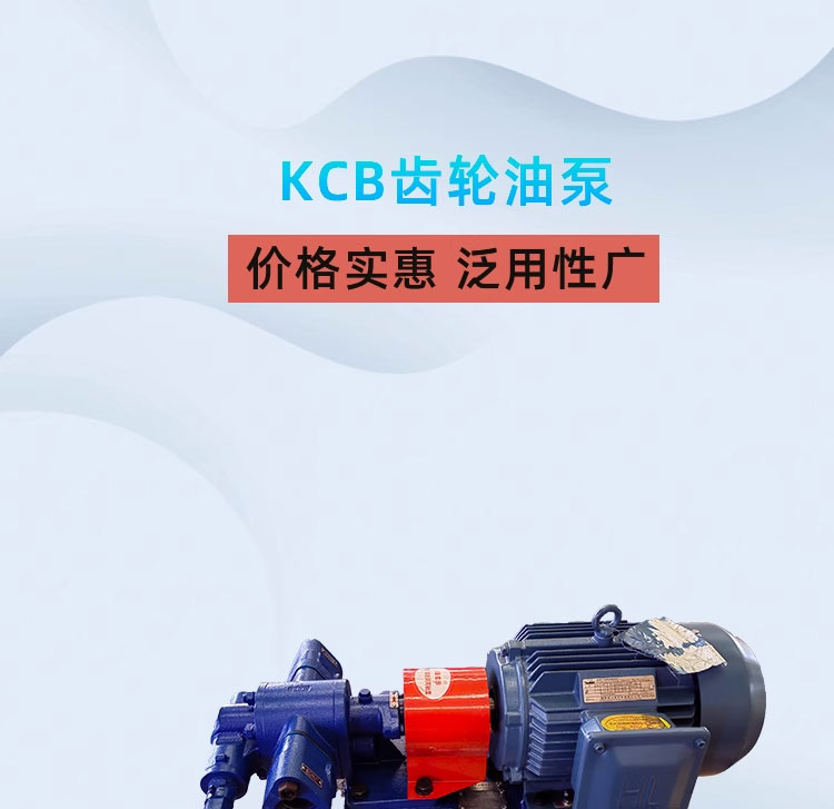 进口KCB齿轮泵电动齿轮泵KCB18.3_33.3_55_83.3液压泵输送泵齿轮油泵(图1)