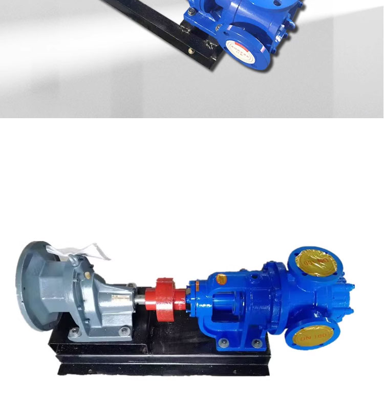 进口NYP保温型不锈钢齿轮泵_高粘度内啮合转子泵树脂乳胶稠油泵糖蜜泵(图2)