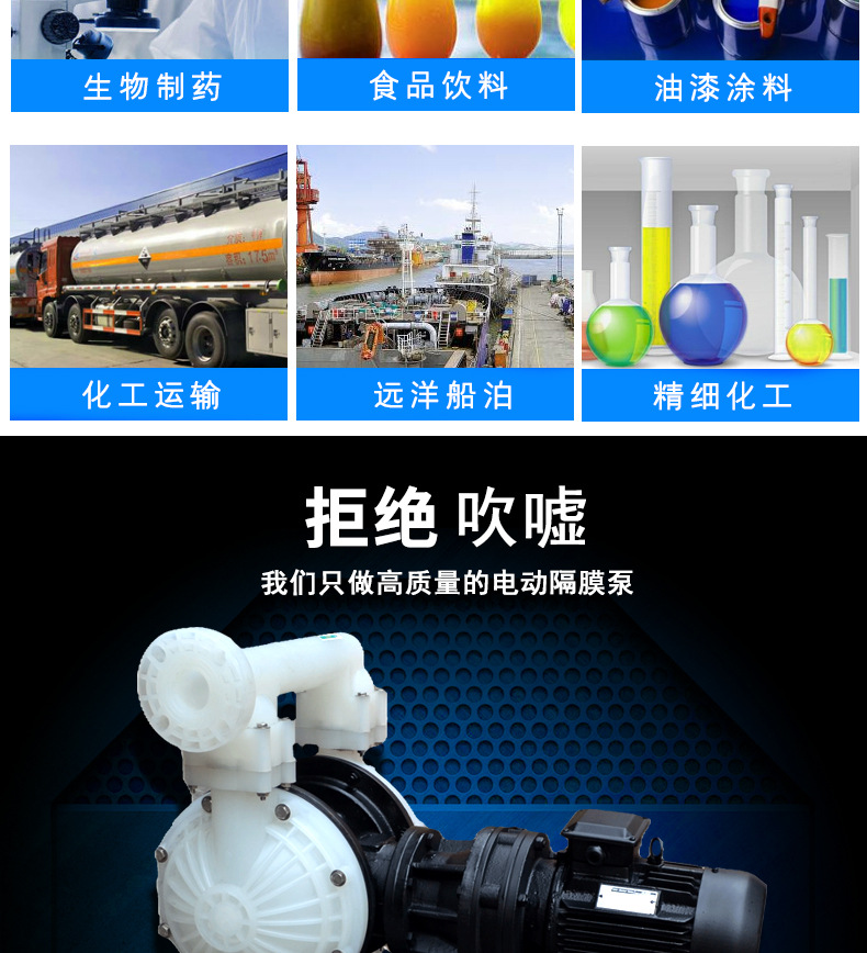 进口电动隔膜泵 工程塑料隔膜泵(图3)