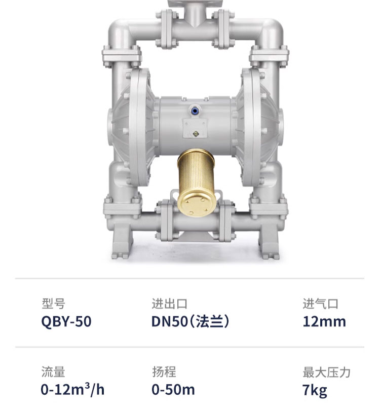 进口气动隔膜泵铸铁塑料铝合金不锈钢压滤机耐腐蚀化工泵(图11)