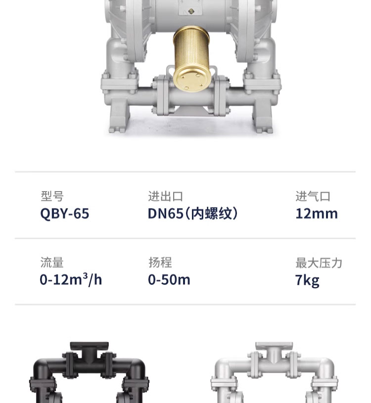 进口气动隔膜泵铸铁塑料铝合金不锈钢压滤机耐腐蚀化工泵(图14)