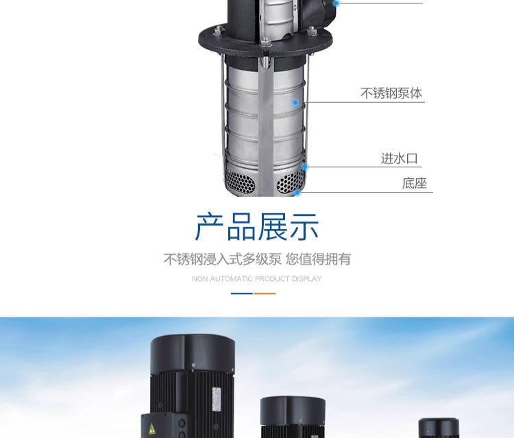 进口不锈钢_液下泵_机床泵_浸入式多级离心泵(图6)