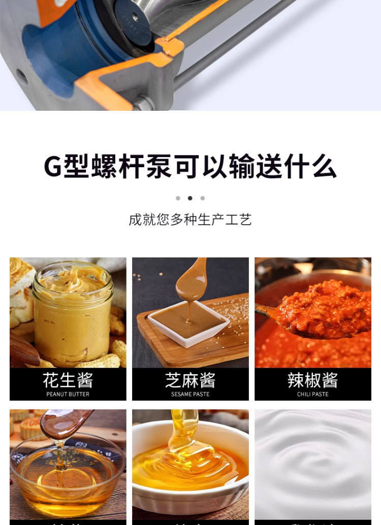 进口料斗式G型单螺杆泵可定制调速喂料式污泥浓浆螺旋泵(图3)