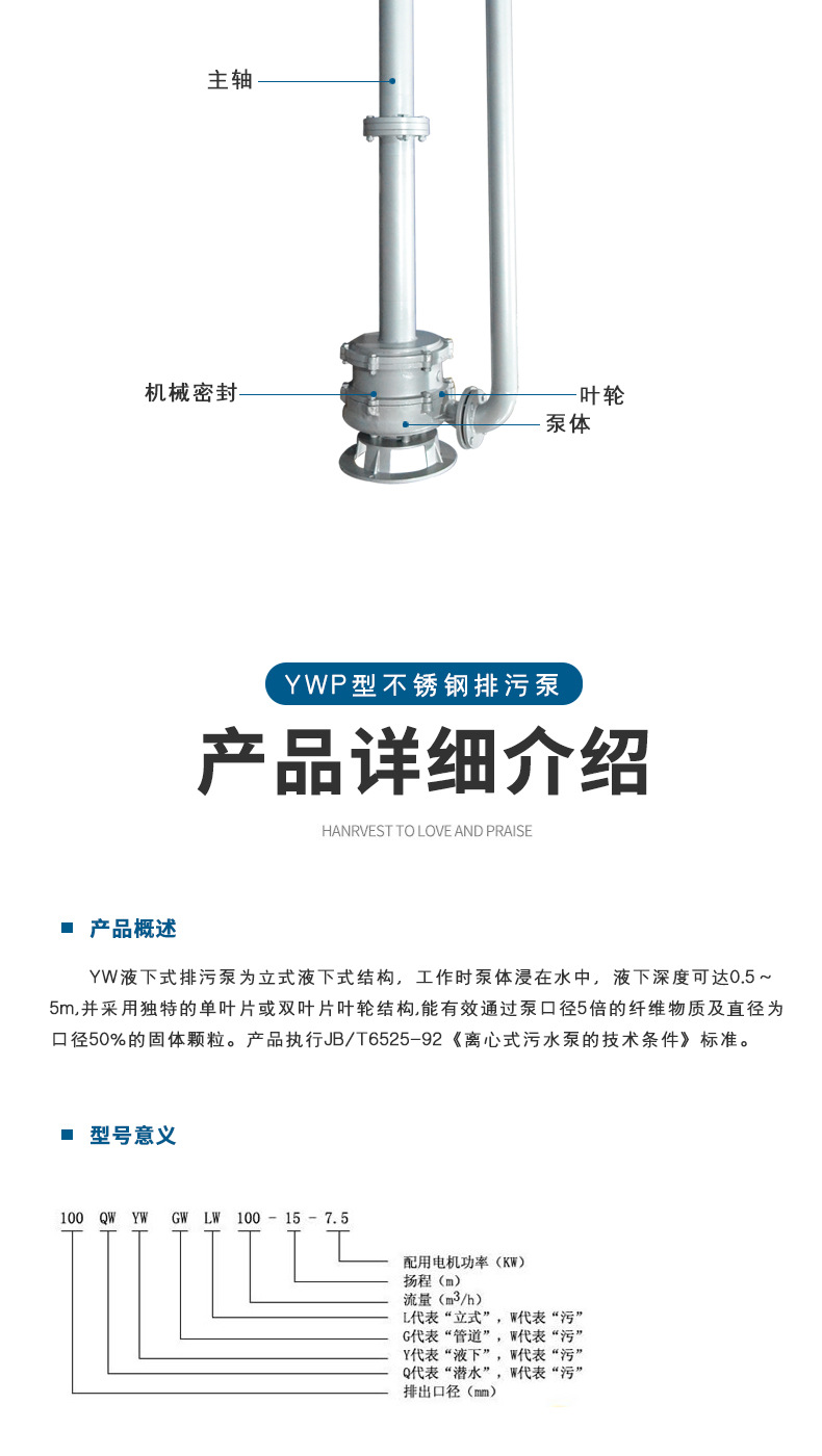 进口不锈钢液下排污泵 立式液下污水泵 无阻塞液下泵(图5)