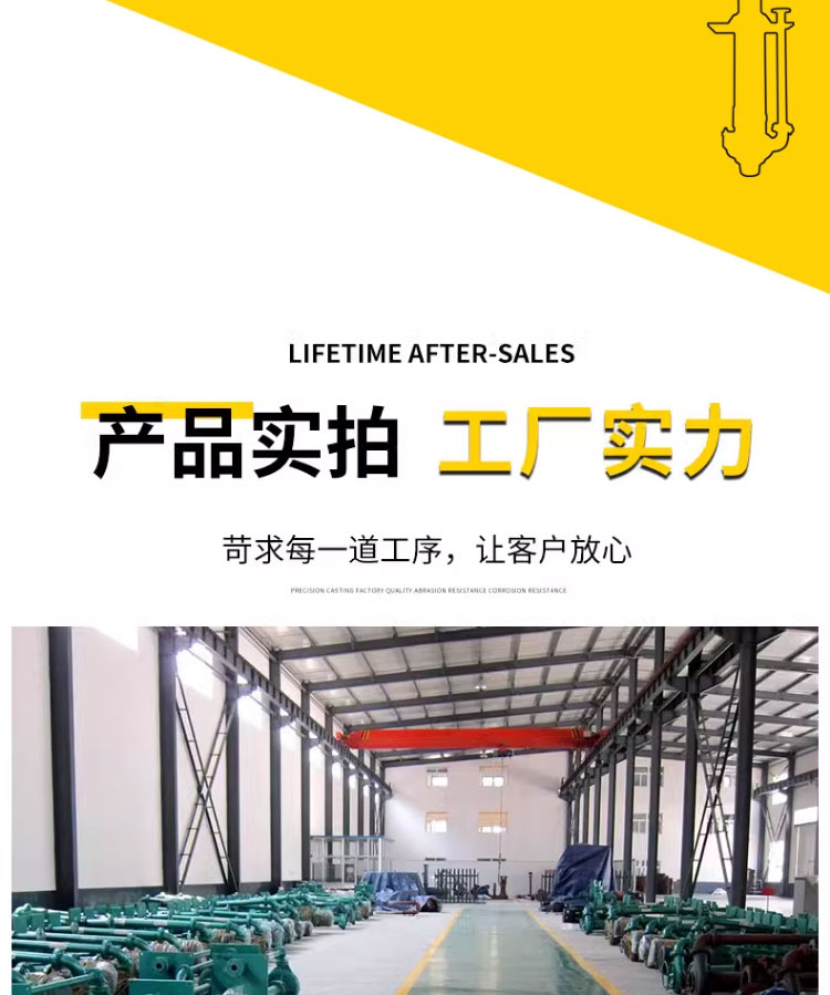 进口淤泥泵抽泥液下泵沉淀池抽沙立式防爆耐腐蚀排污泵液下渣浆泵吸砂(图14)