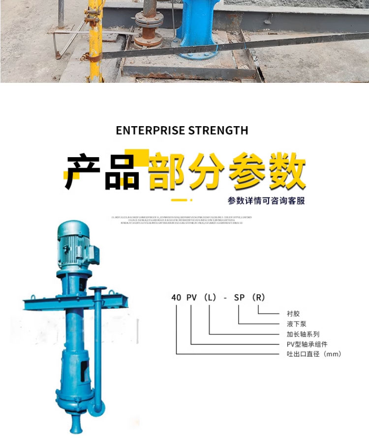 进口淤泥泵抽泥液下泵沉淀池抽沙立式防爆耐腐蚀排污泵液下渣浆泵吸砂(图20)