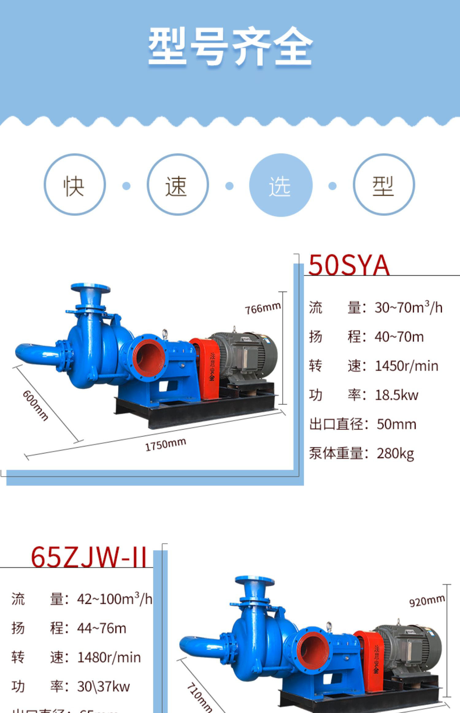 进口板框压滤机专用入料泵30KWZJW污泥泵高压进料泵80SYA渣浆泵耐腐蚀(图5)