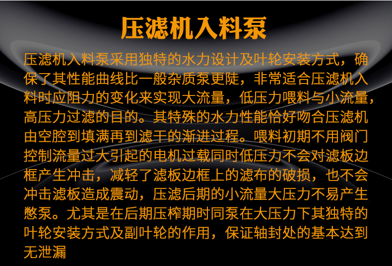 进口压滤机入料泵65sya泥浆泵沙场洗煤厂专用进料泵100zjw加压杂质泵(图10)