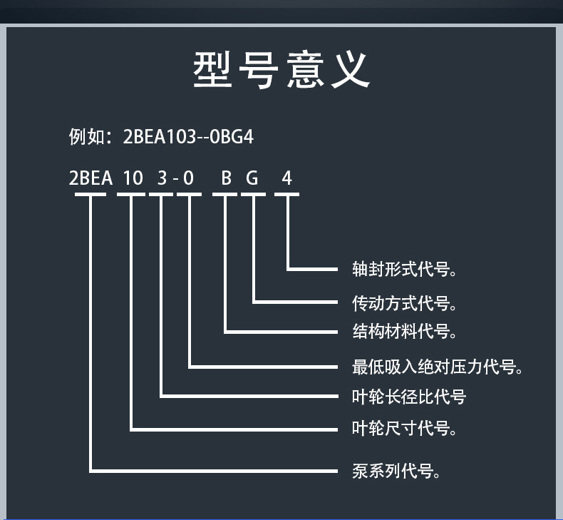 进口水环式真空泵 卧式水环真空泵 高真空度铸铁水循环真空泵(图6)