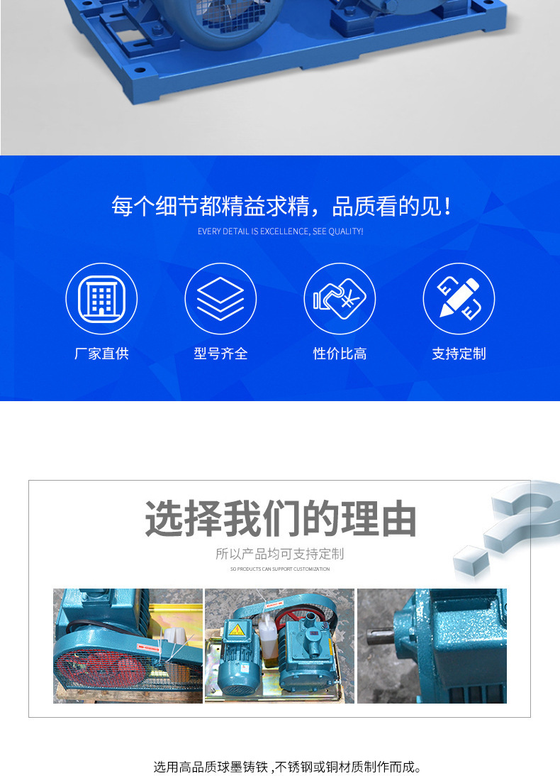 进口双级旋片式真空泵 双级旋片真空泵 皮带驱动旋片真空泵(图2)
