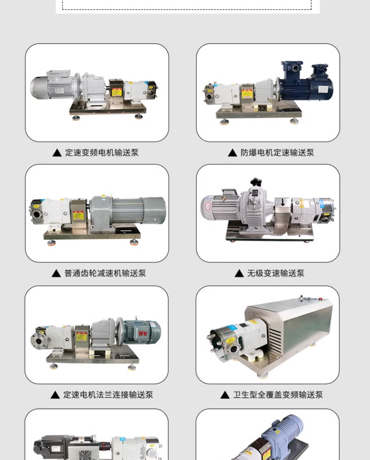 进口草莓百香果柠檬芒果果汁输送泵玉米糖浆奶油凸轮不锈钢泵头转子泵(图14)