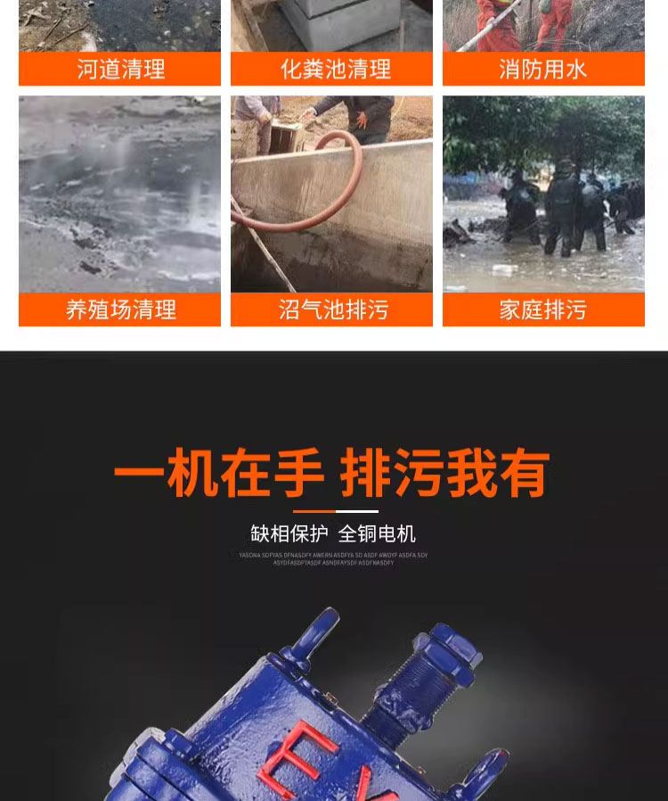 进口防爆潜水排污泵ex潜污泵三相380V加油站化工厂矿山矿用LNG水泵(图4)