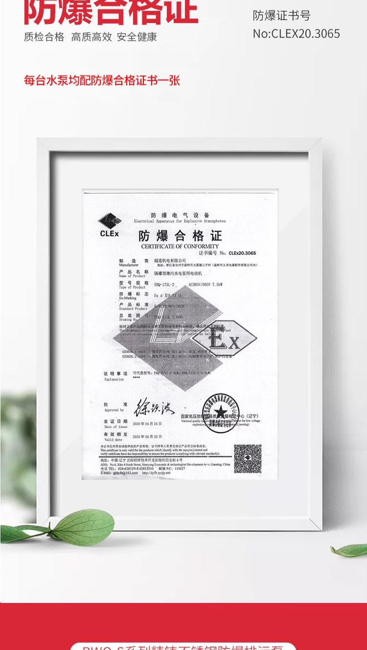 进口防爆污水泵380V三相矿用304不锈钢耐腐蚀316L防爆潜水泵排污泵(图3)