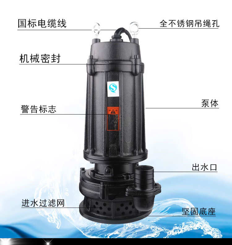 进口排污泵污水泵高扬程三相大功率工业泥浆工程380V2寸口径高扬程(图3)