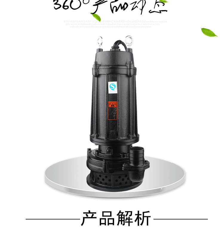 进口排污泵污水泵高扬程三相大功率工业泥浆工程380V2寸口径高扬程(图2)