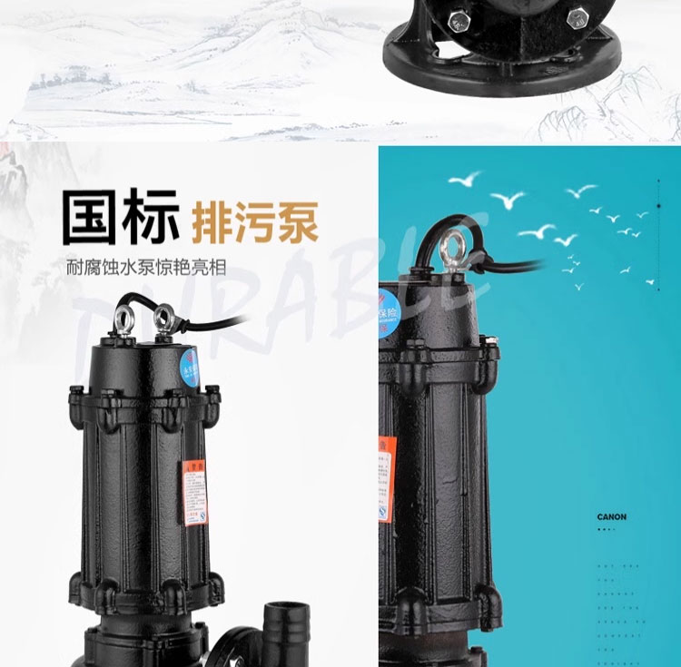 进口污水泵无堵塞污水提升排水泄洪潜水泵排污泵搅匀泵三相(图2)