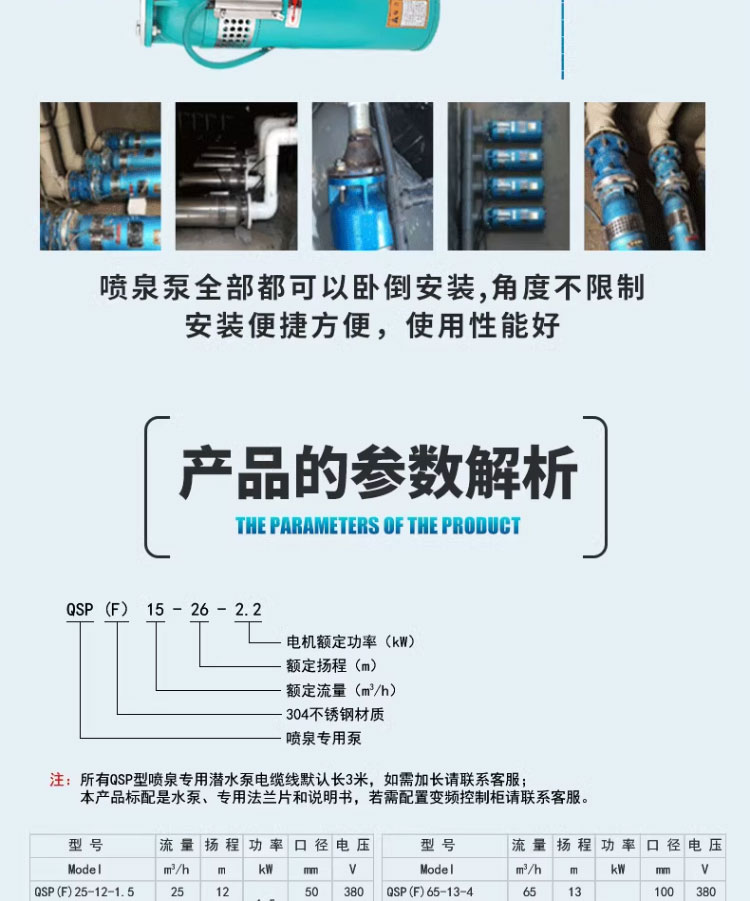 进口不锈钢景观喷泉泵水池花园喷水水泵可耐频繁启动喷泉专用潜水电泵(图8)