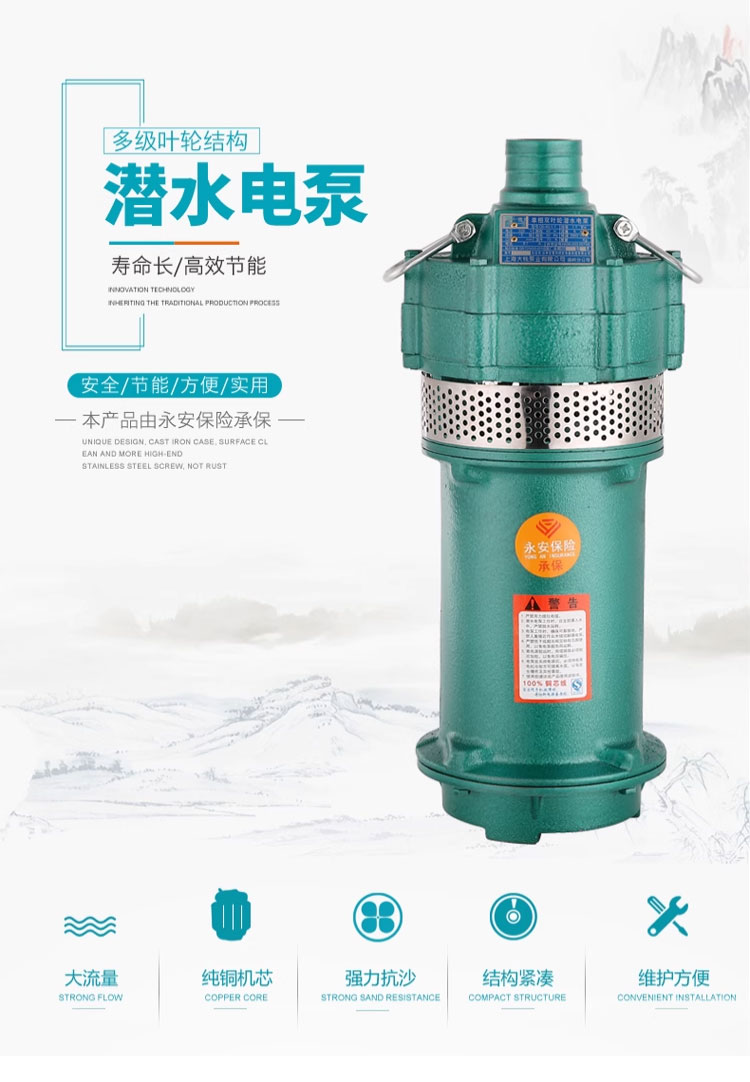 进口多级潜水泵220v高扬程家用抽水泵农用灌溉泵大流量高压深井抽水机(图1)