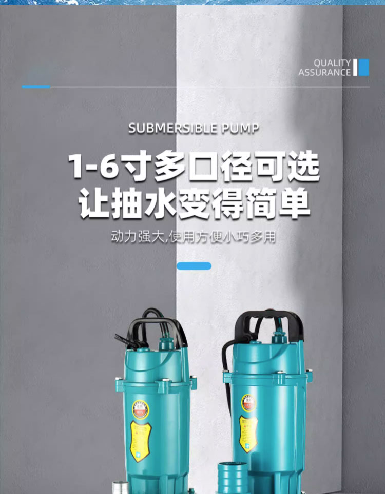 进口潜水泵220V家用高扬程大流量清水泵农用灌溉小型抽水泵深井吸水泵(图7)