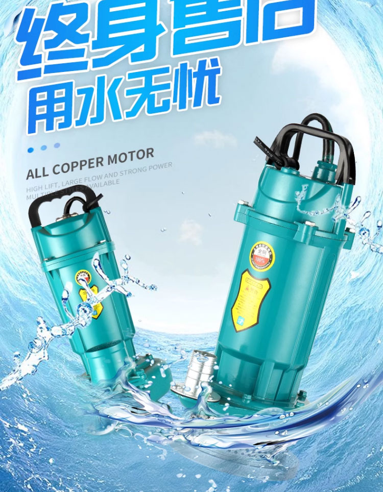 进口潜水泵220V家用高扬程大流量清水泵农用灌溉小型抽水泵深井吸水泵(图6)