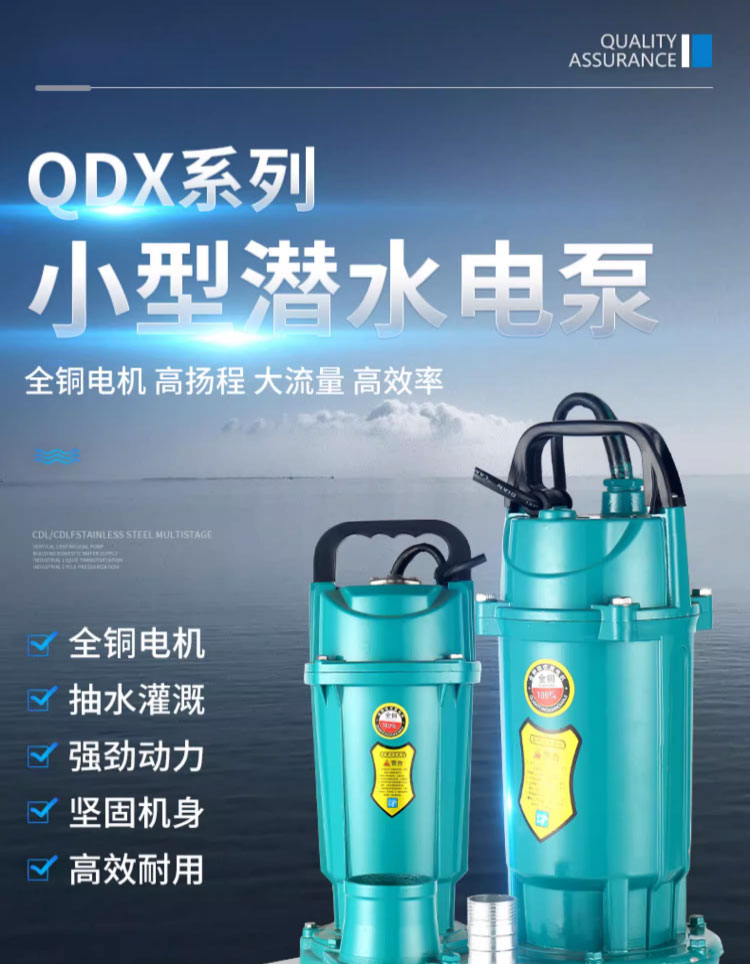 进口潜水泵220V家用高扬程大流量清水泵农用灌溉小型抽水泵深井吸水泵(图1)