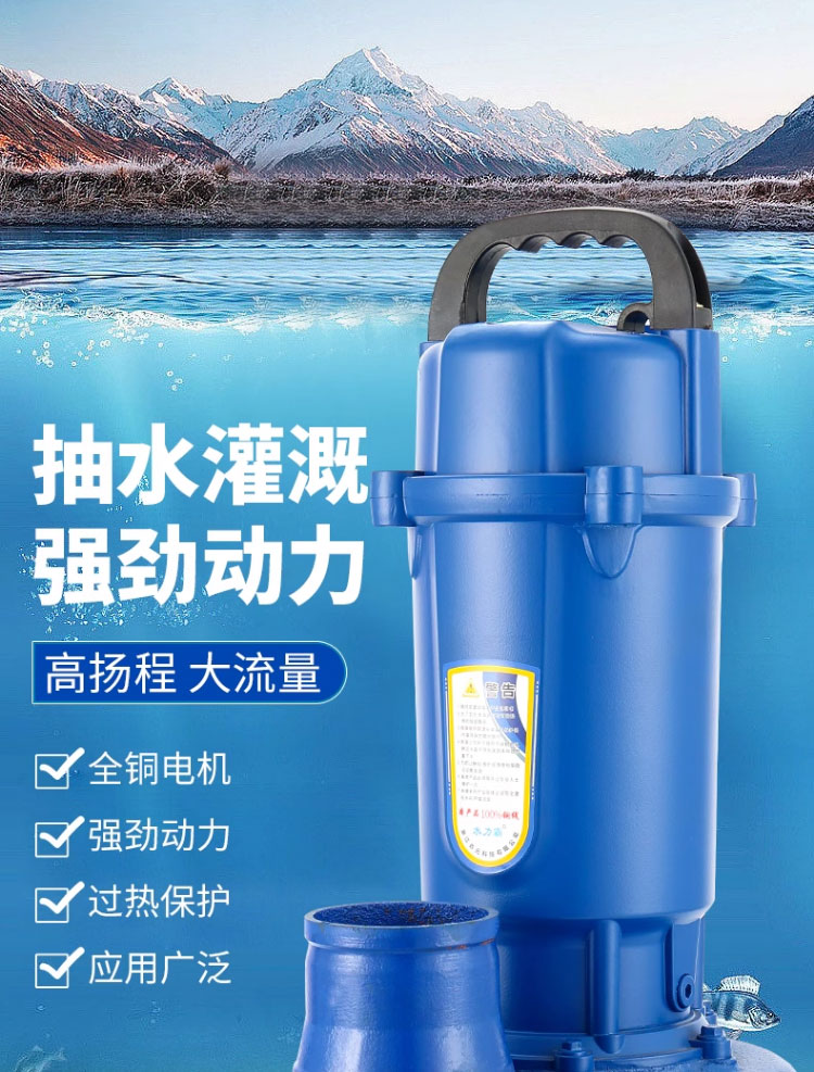 进口潜水泵220v家用小型抽水泵高扬程大流量农用灌溉排污抽水机清水泵(图1)