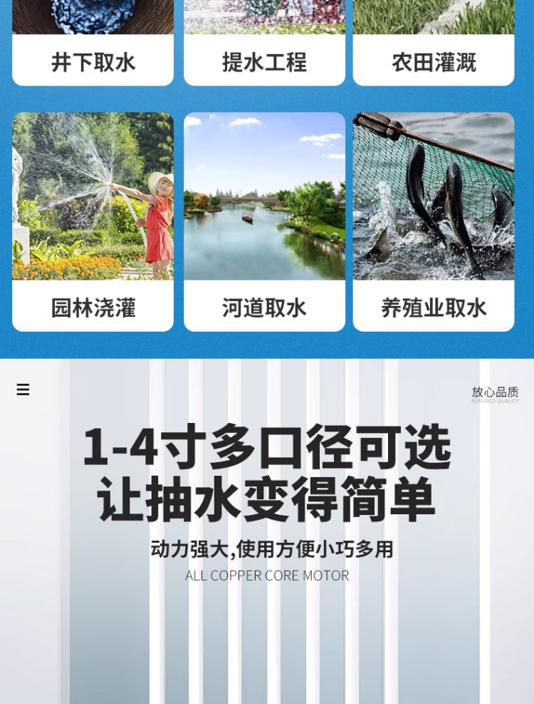 进口潜水泵220v家用小型抽水泵高扬程大流量农用灌溉排污抽水机清水泵(图5)