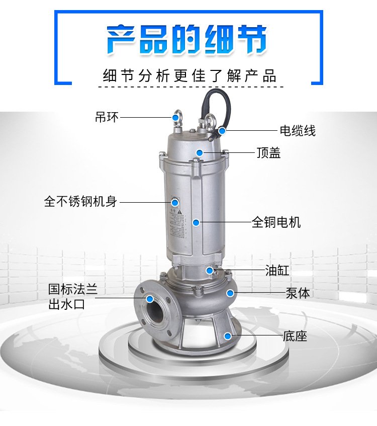 进口全不锈钢潜水泵(图3)