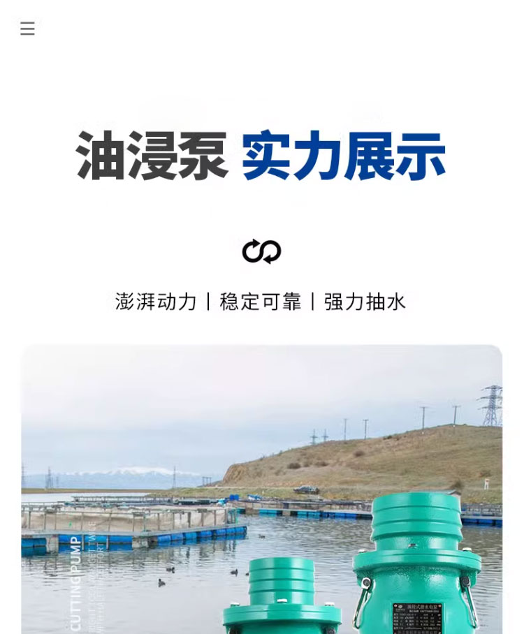 进口三相潜水泵380v油浸式大流量农用灌溉高压4寸深井抽水6寸喷淋国标(图10)