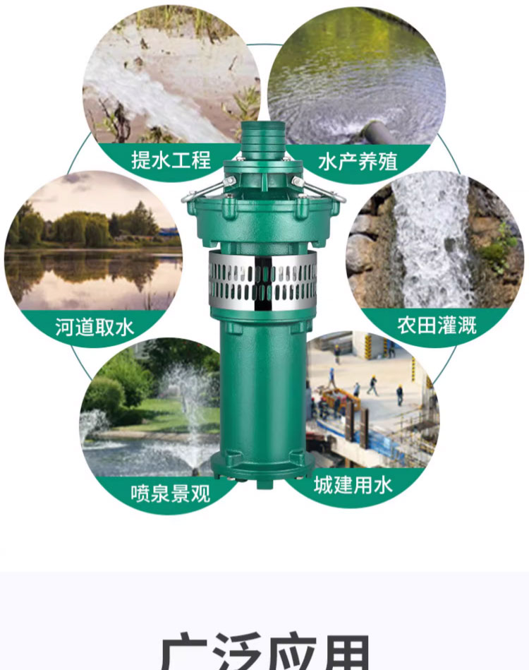 进口油浸式QY潜水泵380v6寸高扬程大流量三相农田灌溉浇地清水抽水泵(图4)