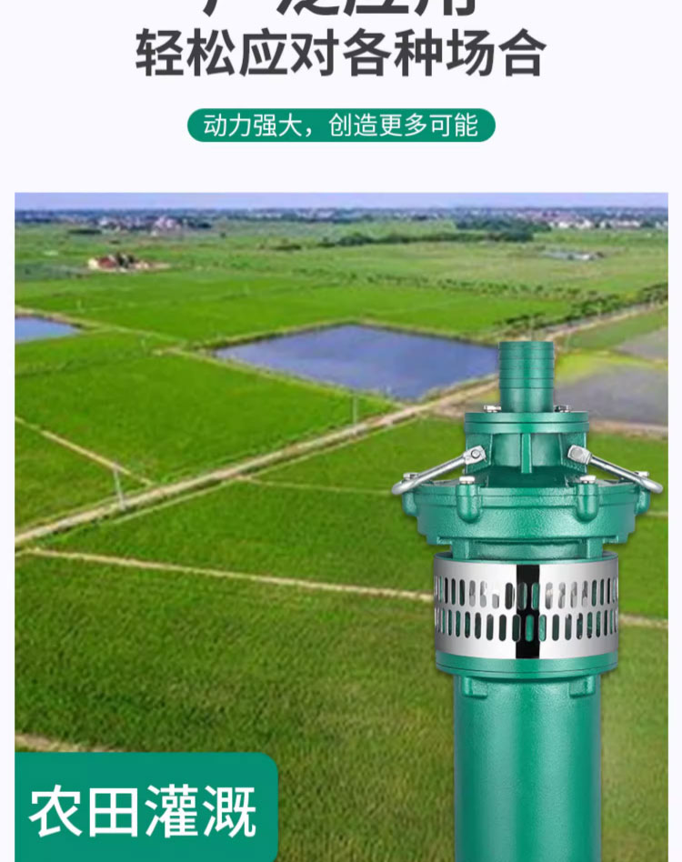 进口油浸式QY潜水泵380v6寸高扬程大流量三相农田灌溉浇地清水抽水泵(图5)