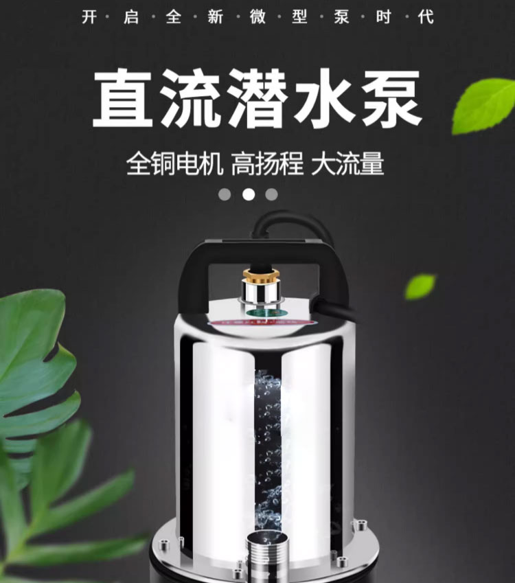 进口直流潜水泵家用电瓶抽水泵12V24V小型抽水机48V电动车高压水泵(图1)