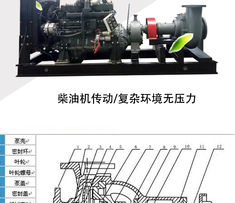 进口混流泵卧式离心泵8寸12寸柴油机泵6寸10寸大流量农用灌溉抽水机(图14)