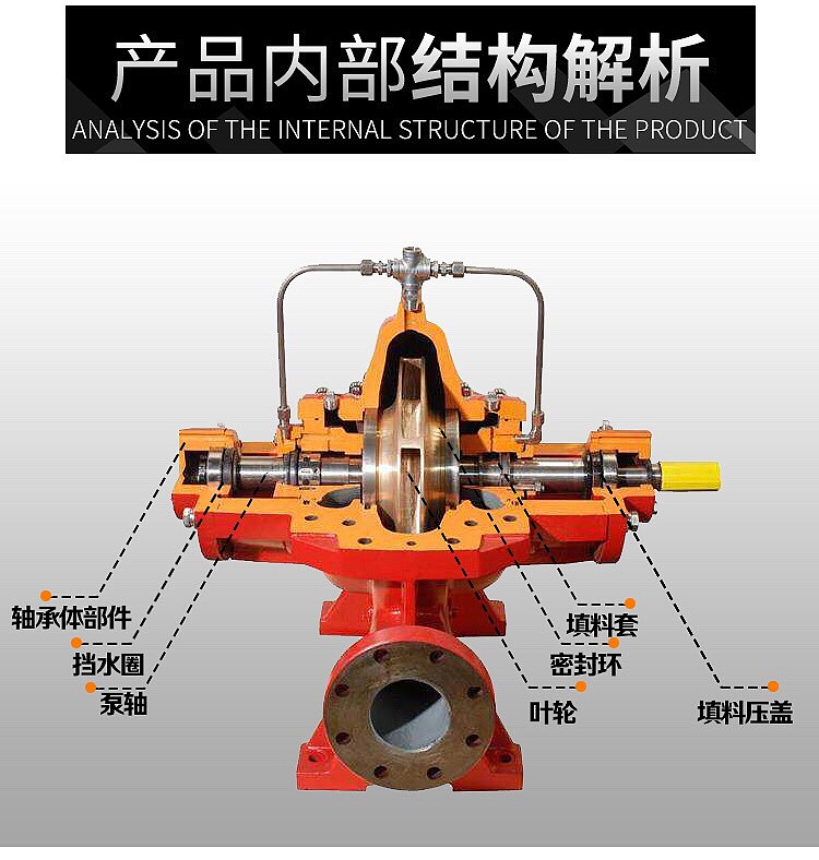 进口双吸泵中开泵大流量高扬程清水离心泵灌溉循环工业排水泵(图5)