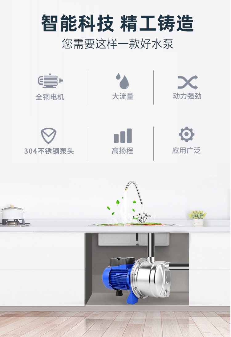 进口喷射泵增压泵园林井水提升高扬程静音家用泵环保不锈钢自吸泵(图2)