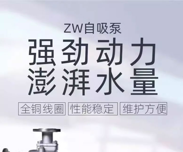 进口自吸泵无堵塞排污泵铸铁_不锈钢防爆CYZ自吸高扬程泵电动油泵(图1)