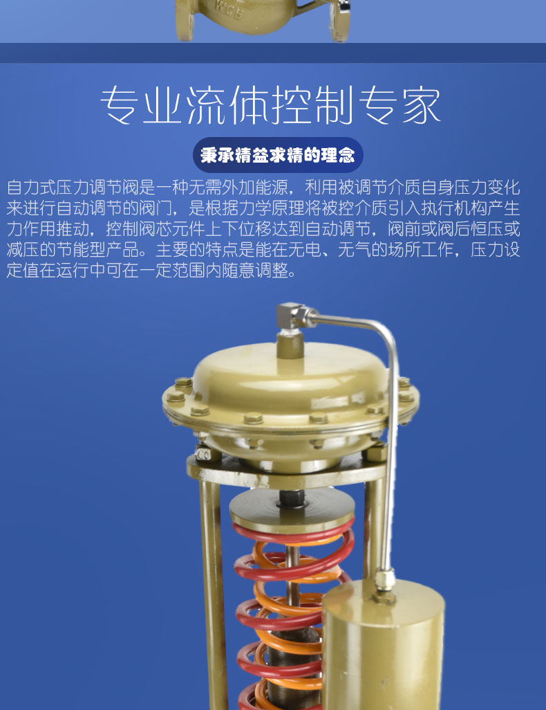 进口氮气空气蒸汽自力式压力调节阀减压稳压阀(图2)