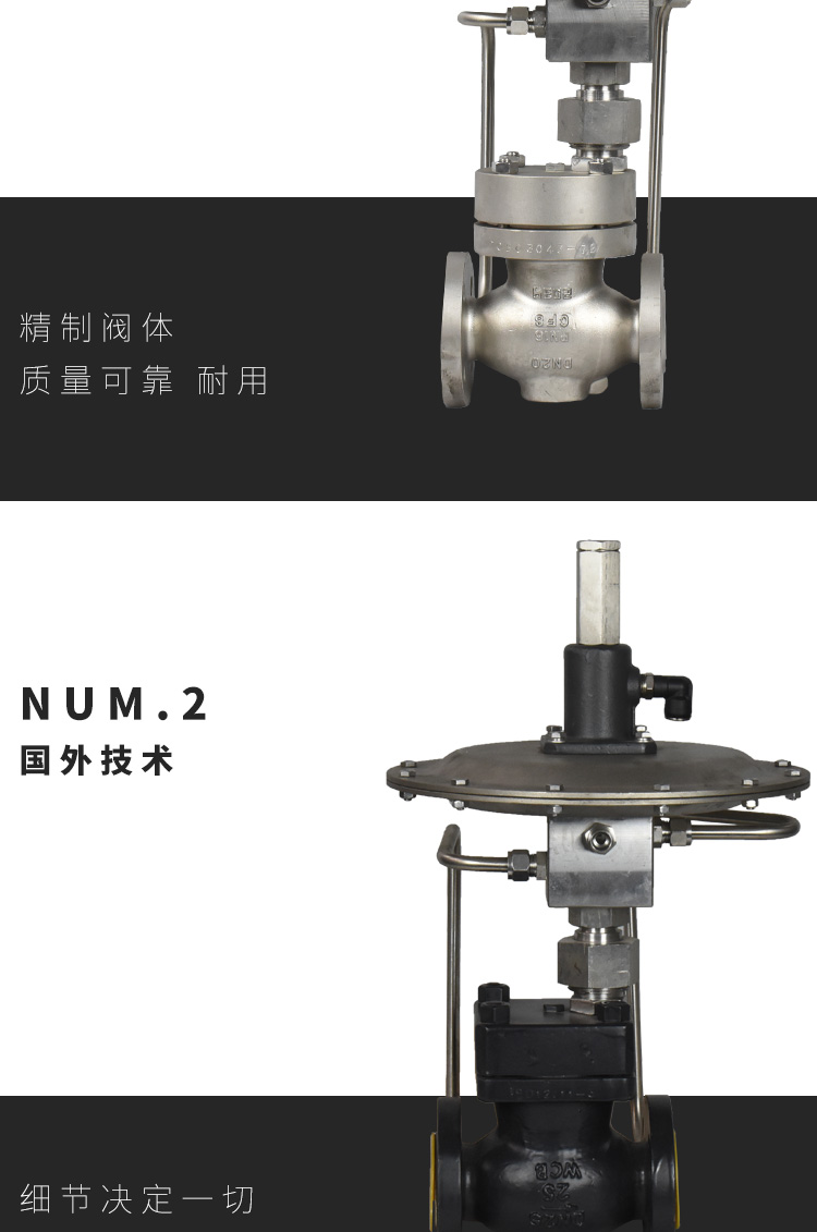 进口氮封阀自力式压力调节阀铸钢不锈钢自力式供氮阀泄氮阀氮气减压阀(图3)