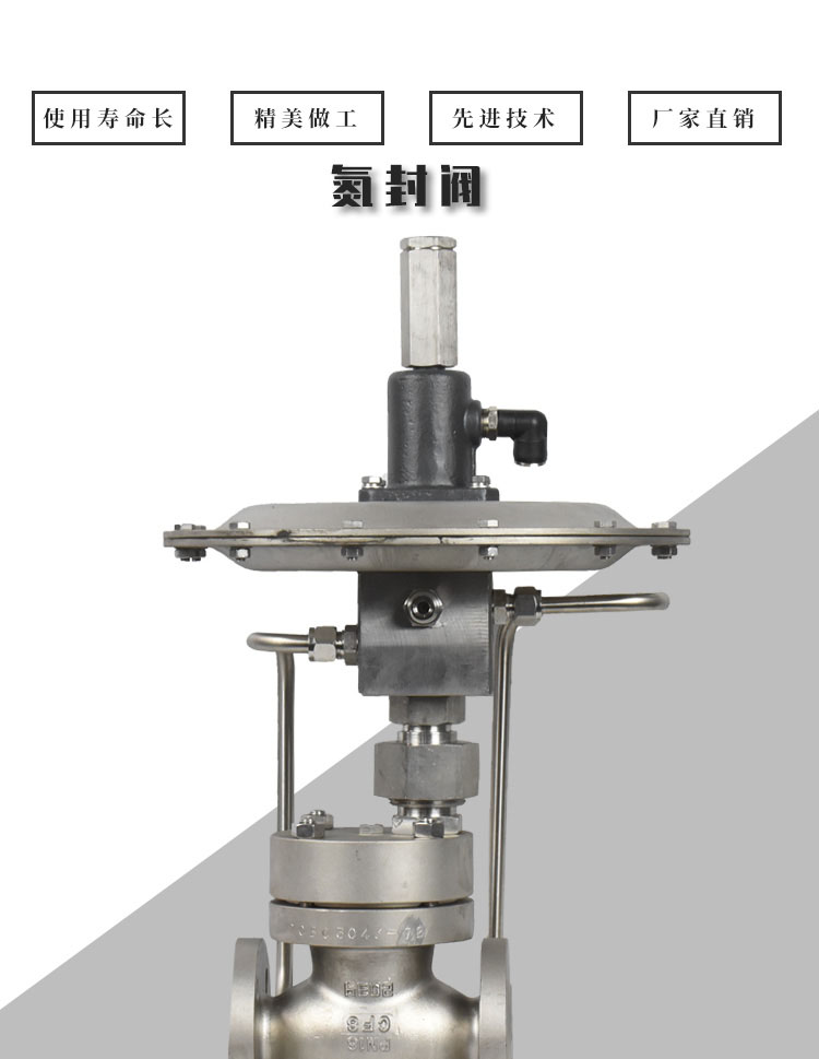 进口氮封阀自力式压力调节阀铸钢不锈钢自力式供氮阀泄氮阀氮气减压阀(图1)