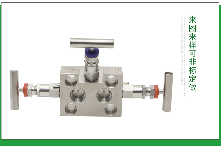 进口一体化不锈钢三阀组(图8)