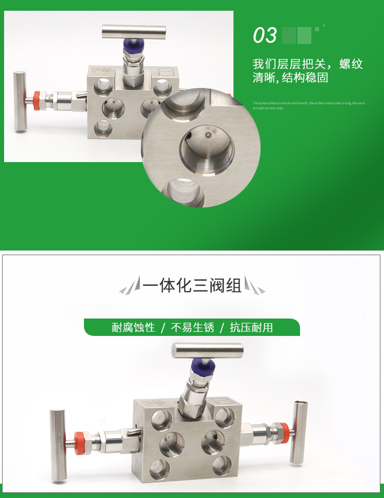 进口一体化不锈钢三阀组(图6)