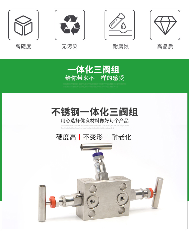 进口一体化不锈钢三阀组(图3)