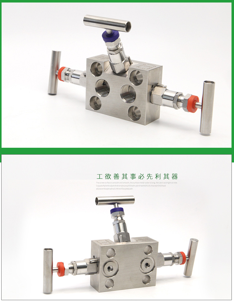 进口一体化不锈钢三阀组(图7)