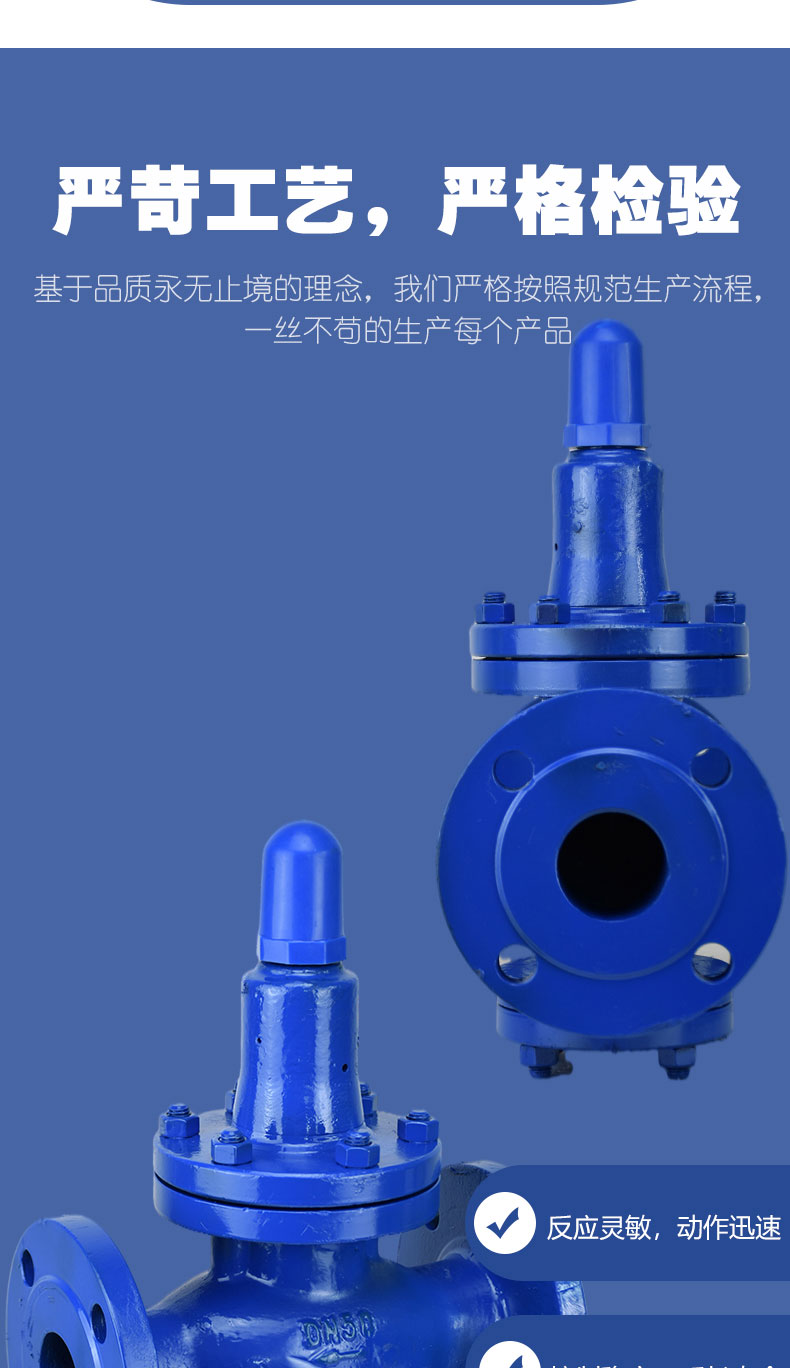 进口压缩空气油品自来水可调式高压法兰减压阀(图3)